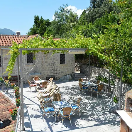 Apartments Franovic Perast Exterior photo